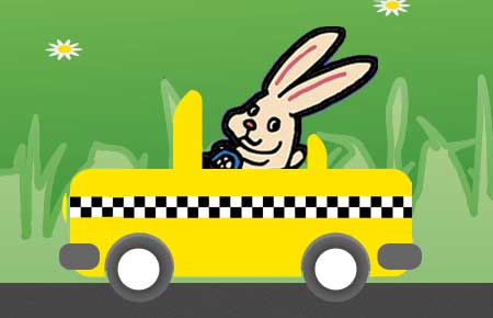 Try our Pet Taxi!